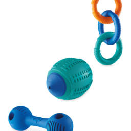 Pet Collection Outdoor Dog Toys