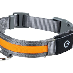 Zoofari LED Light-Up Band Dog Collar/ LED Light-Up Dog Collar