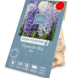 The Green Garden Hyacinth Mix