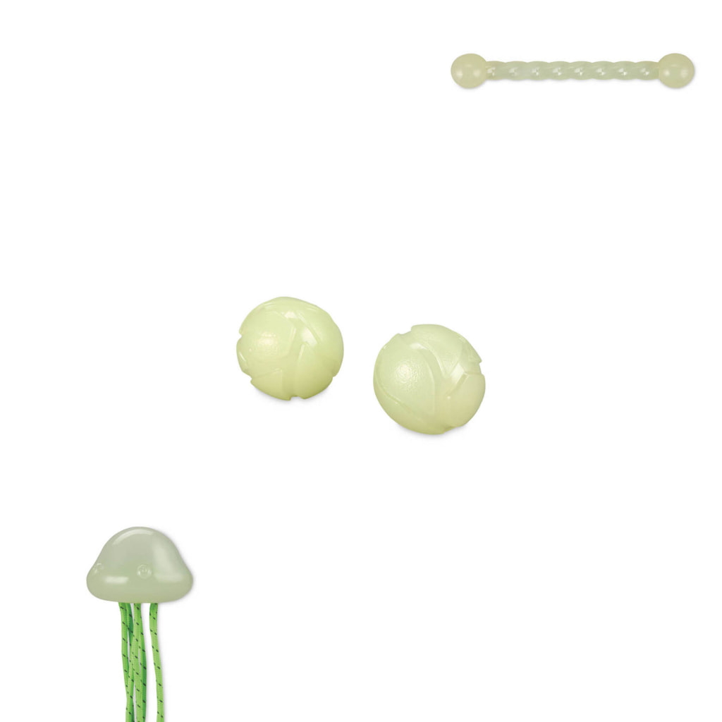 Glow-in-the-Dark Toy