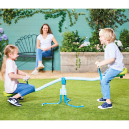 Swing and Spin Seesaw