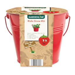 Strawberry Kids' Bucket Grow Kit