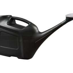 Ward 6L Watering Can